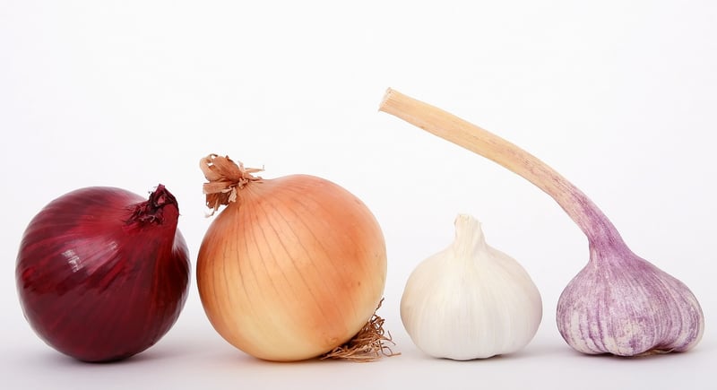 Garlic Bulbs
